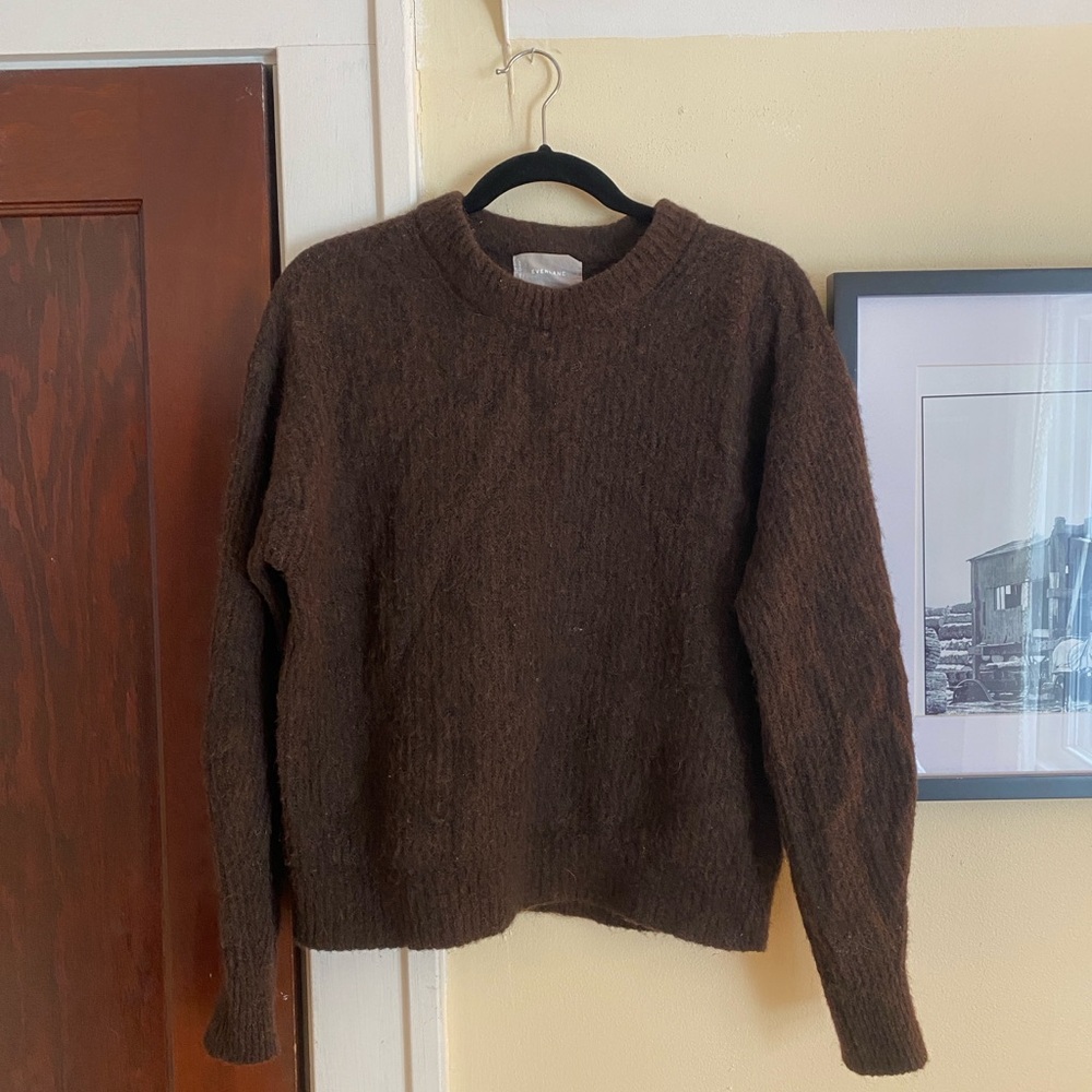 Everlane Brown Alpaca Sweater